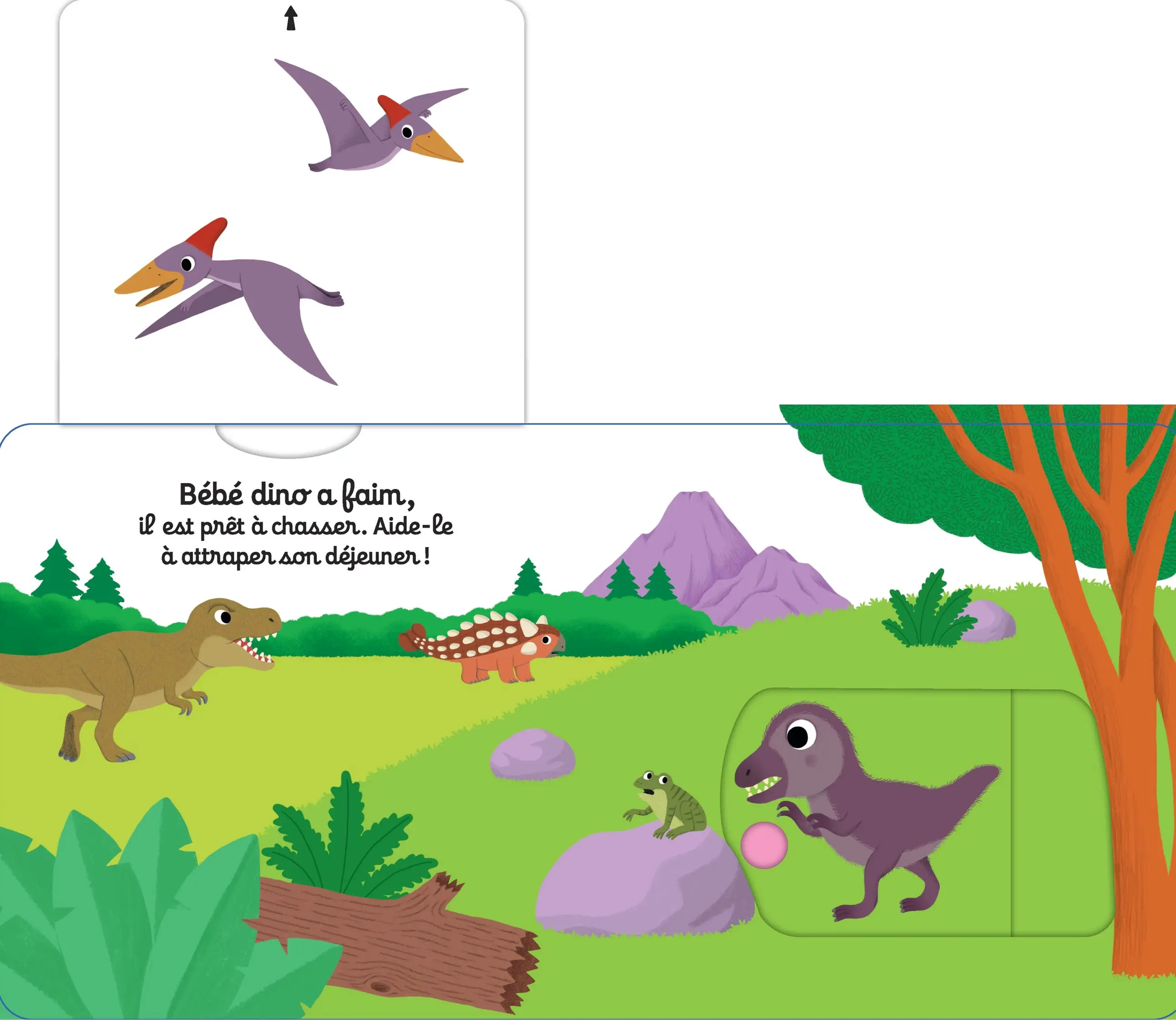 Tu es fort petit dinosaure ! - Découvre la vie de bébé dino avec des animations solides - dès 1 an - Livre documentaire - 9782095045524 - Pages intérieures 04