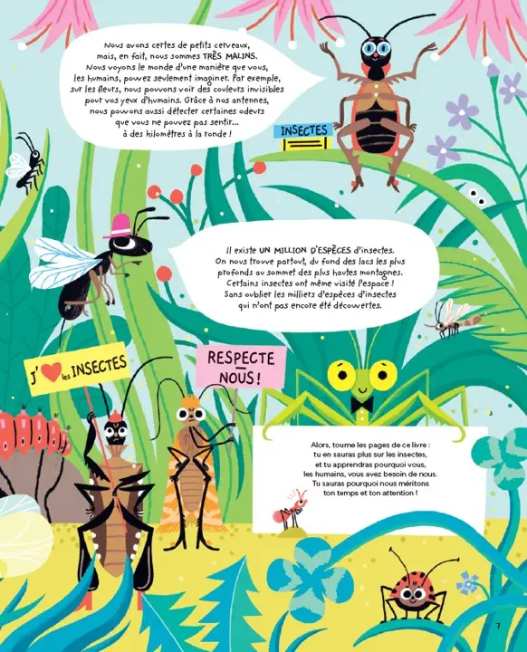 Nous, les Insectes - À la Découverte des Secrets de la Nature - Guide Illustré pour enfants à partir de 8 ans - Livre documentaire - 9782095045791 - Pages intérieures 04