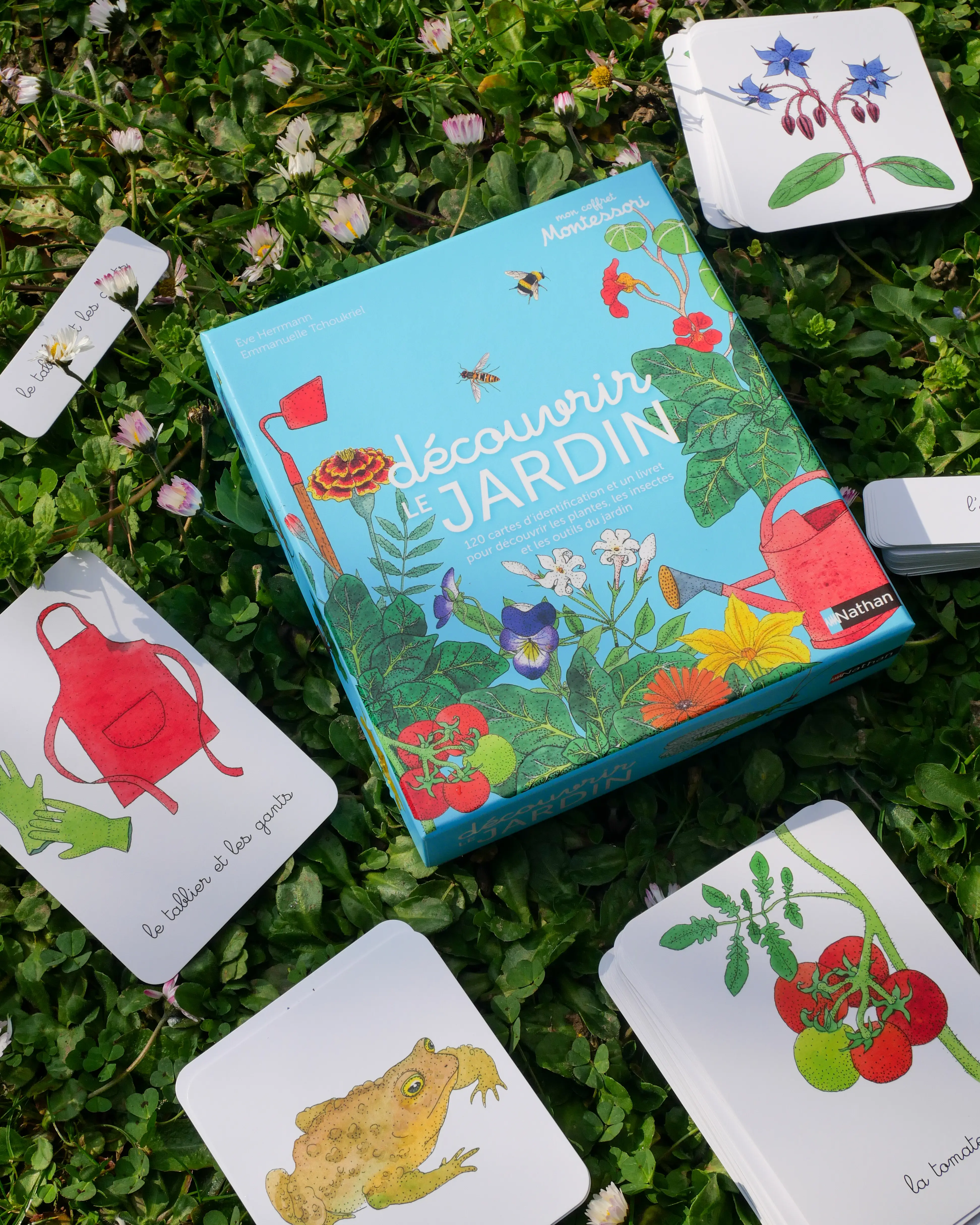Mon coffret Montessori - Découvrir le jardin - 120 cartes solides et maniables pour découvrir les plantes, les insectes et les outils du jardin - 3 ans - Coffret - 9782095043278 - Pages intérieures 1