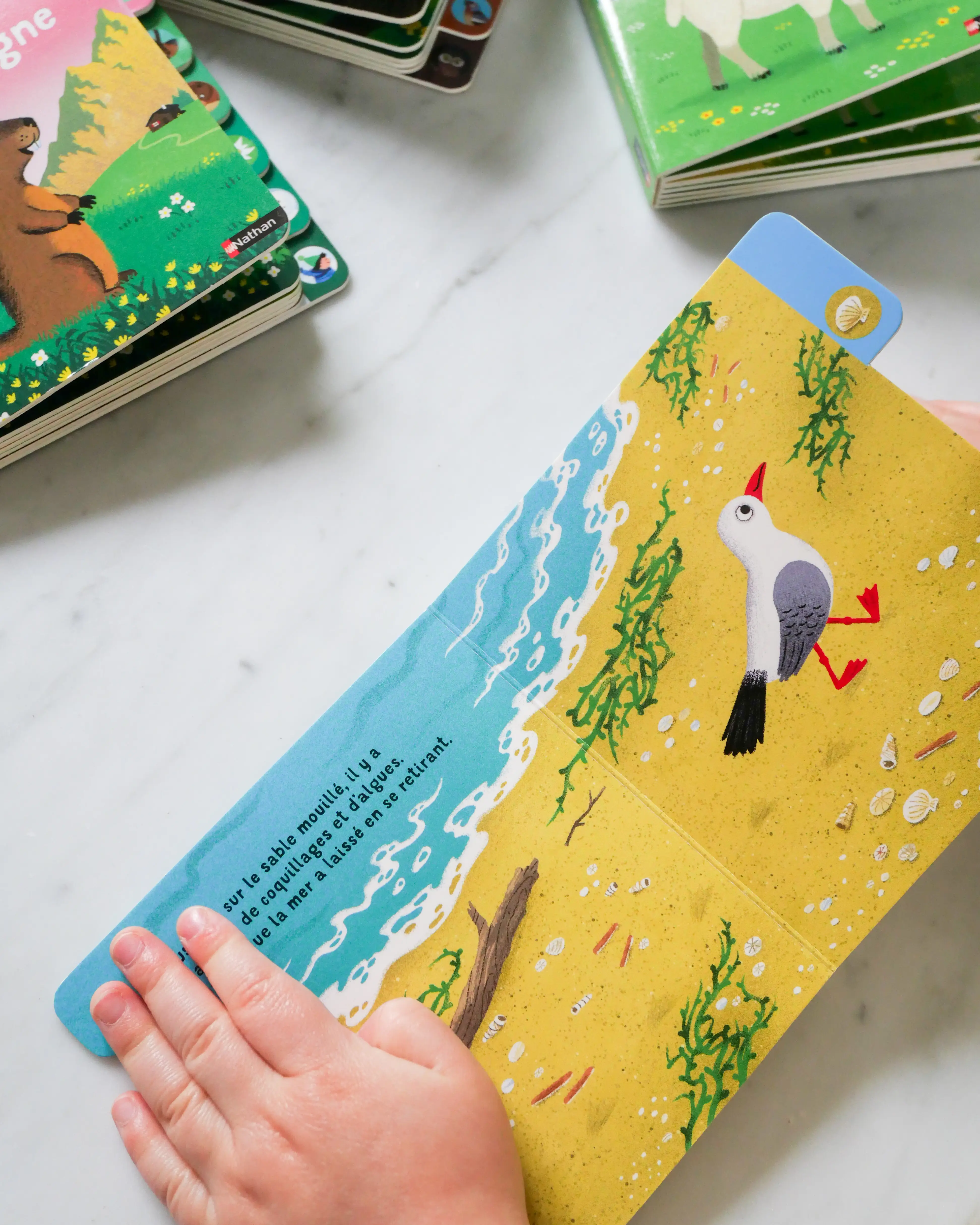 Une journée à la mer - un livre à onglet pour explorer et découvrir la mer - dès 10 mois - Livre d'éveil - 9782095043797 - Pages intérieures 1
