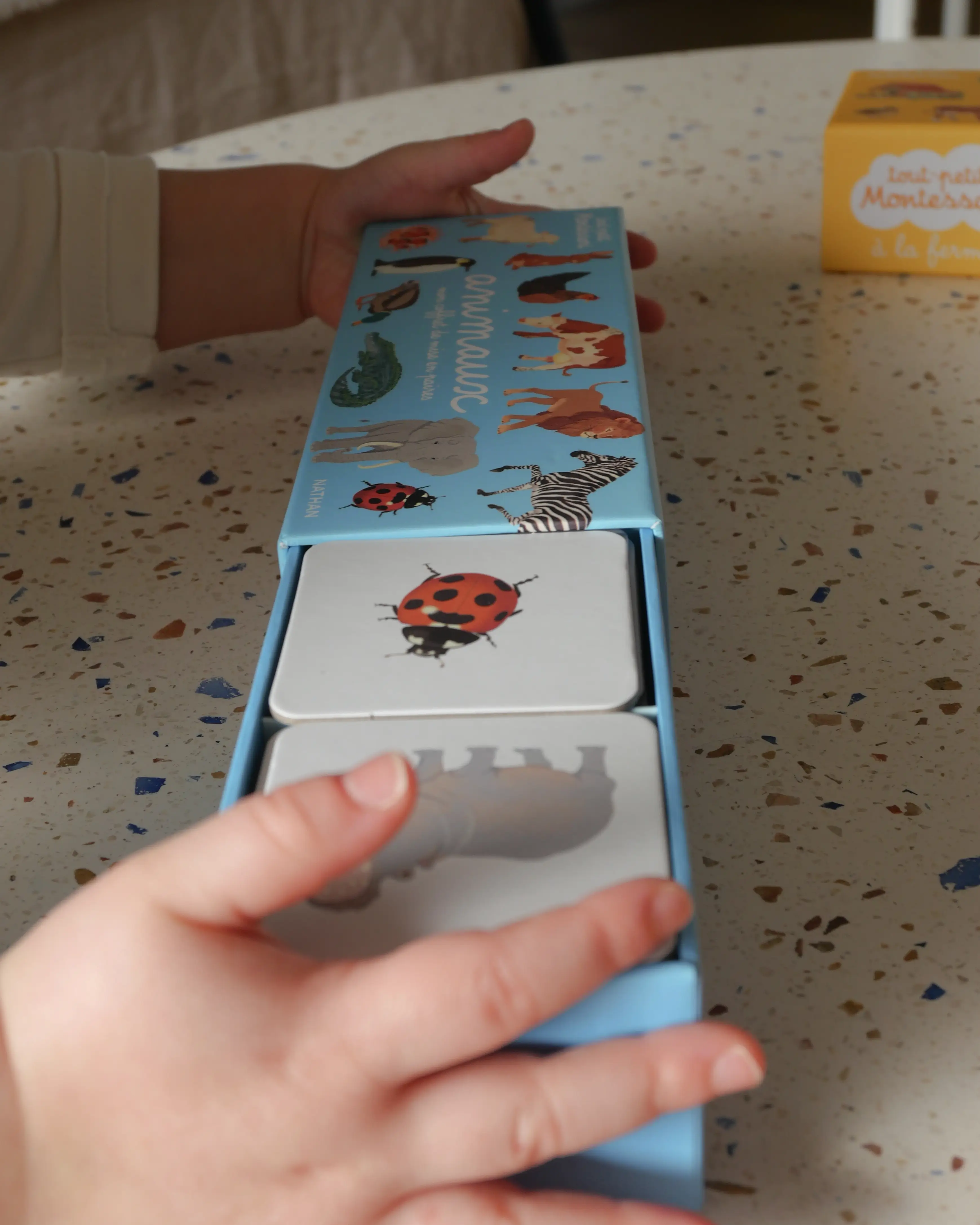 Mon coffret Montessori - Découvrir le jardin - 120 cartes solides et maniables pour découvrir les plantes, les insectes et les outils du jardin - 3 ans - Coffret - 9782095043278 - Pages intérieures 2