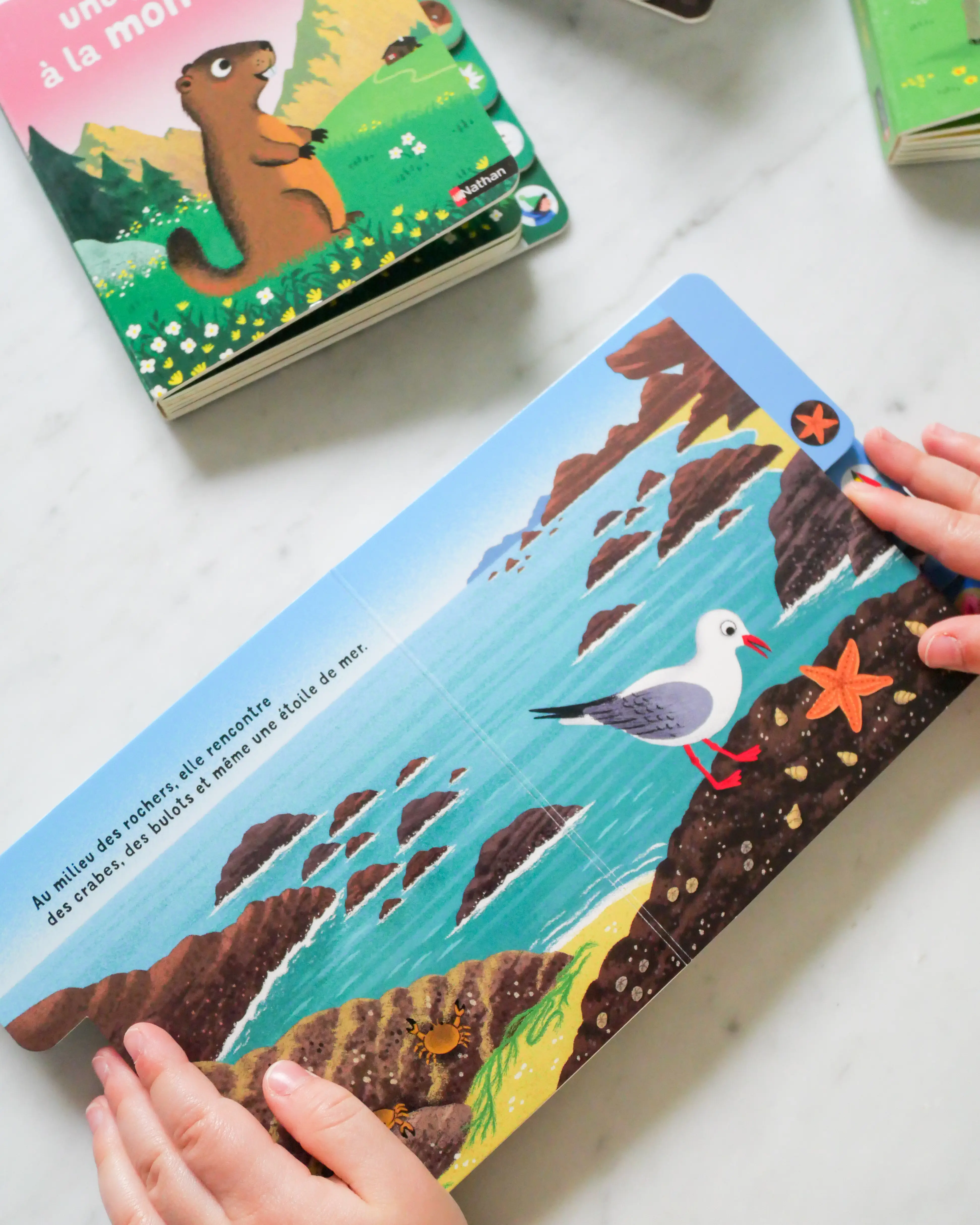 Une journée à la mer - un livre à onglet pour explorer et découvrir la mer - dès 10 mois - Livre d'éveil - 9782095043797 - Pages intérieures 2