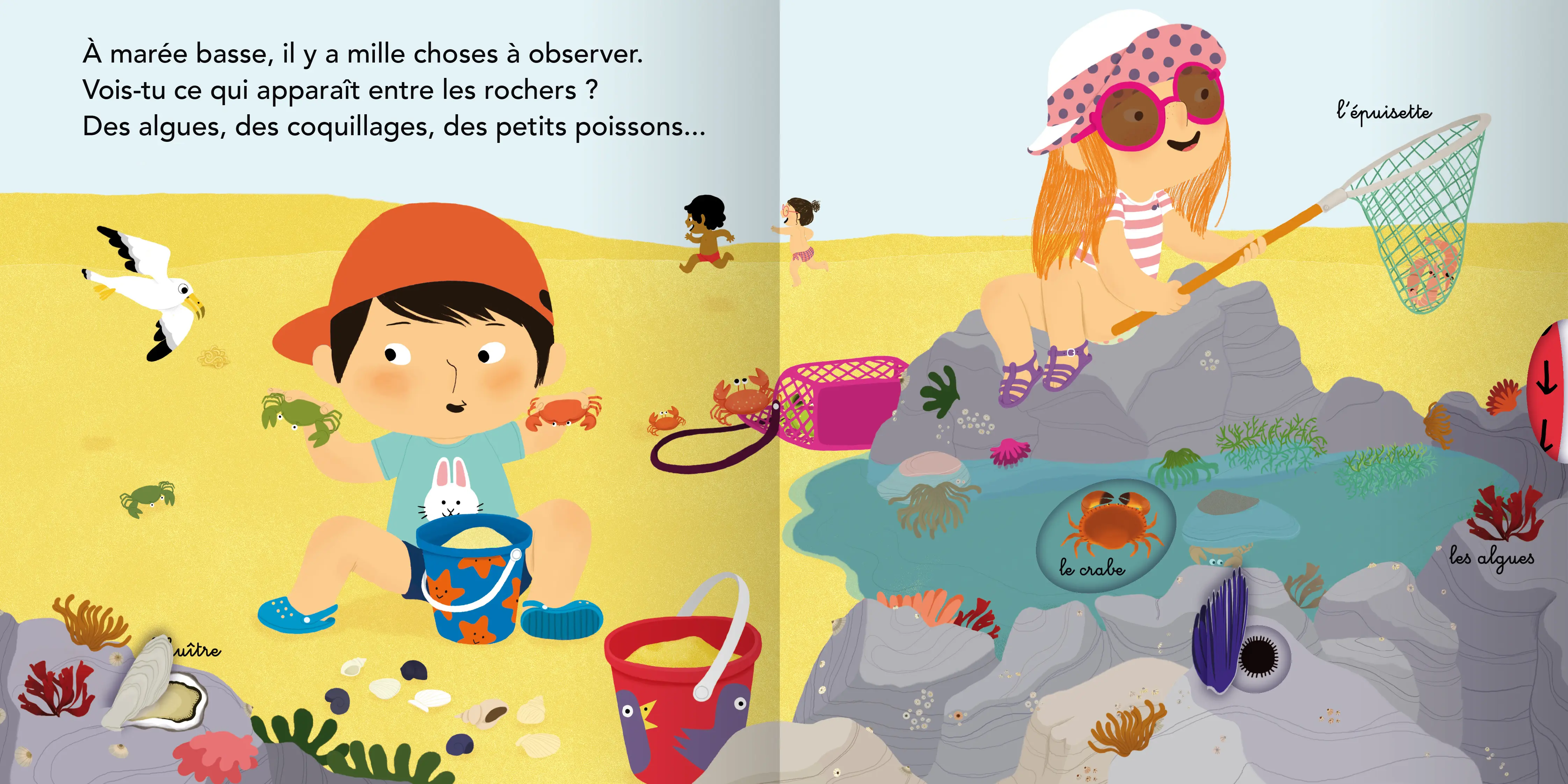 À la plage ! - Livre animé - Kididoc dès 2 ans - Livre documentaire - 9782092587751 - pages intérieures