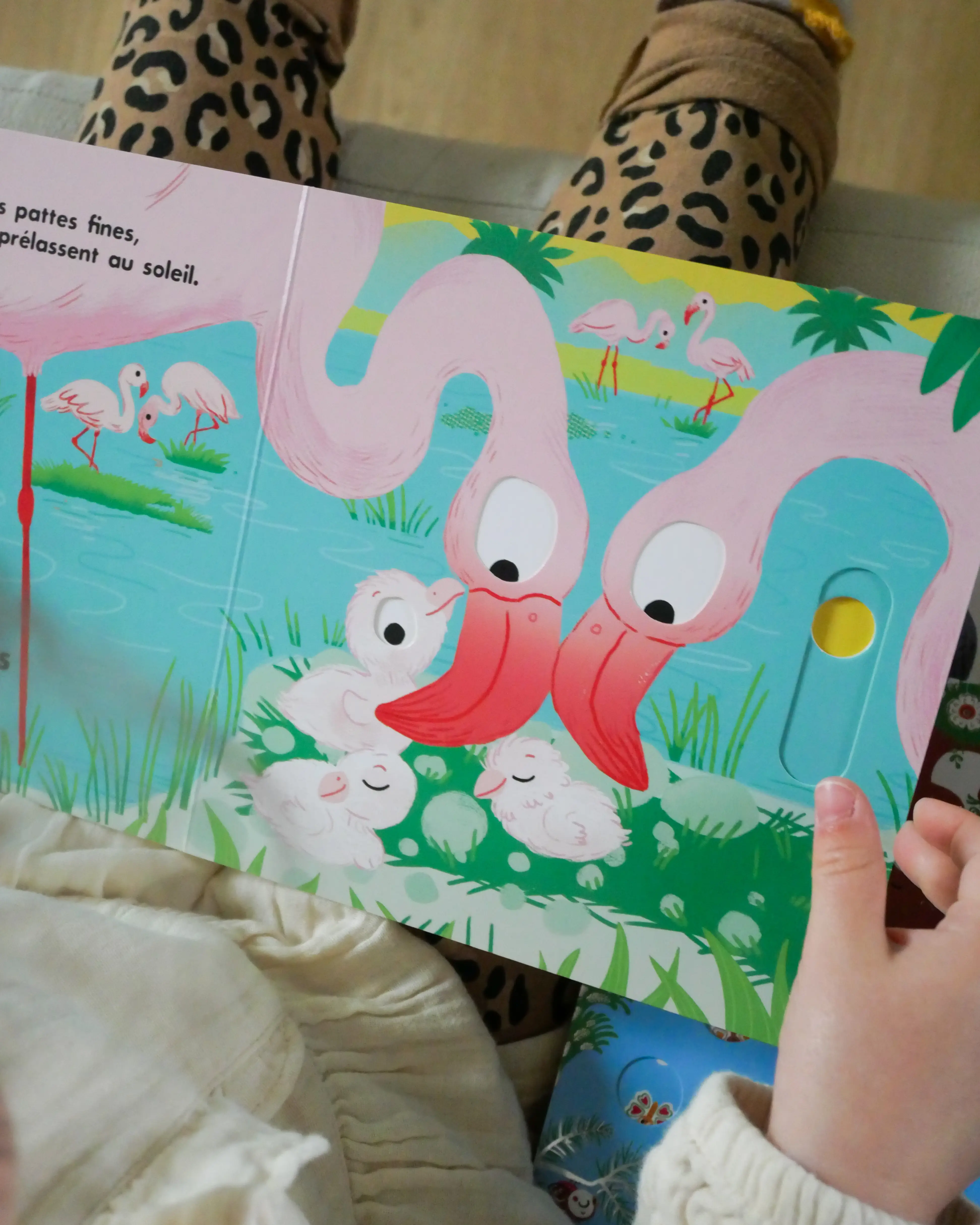 Au dodo - Les animaux sauvages - Un livre animé pour endormir les bébés en douceur - dès 6 mois - Livre d'éveil - 9782095042226 - Pages intérieures