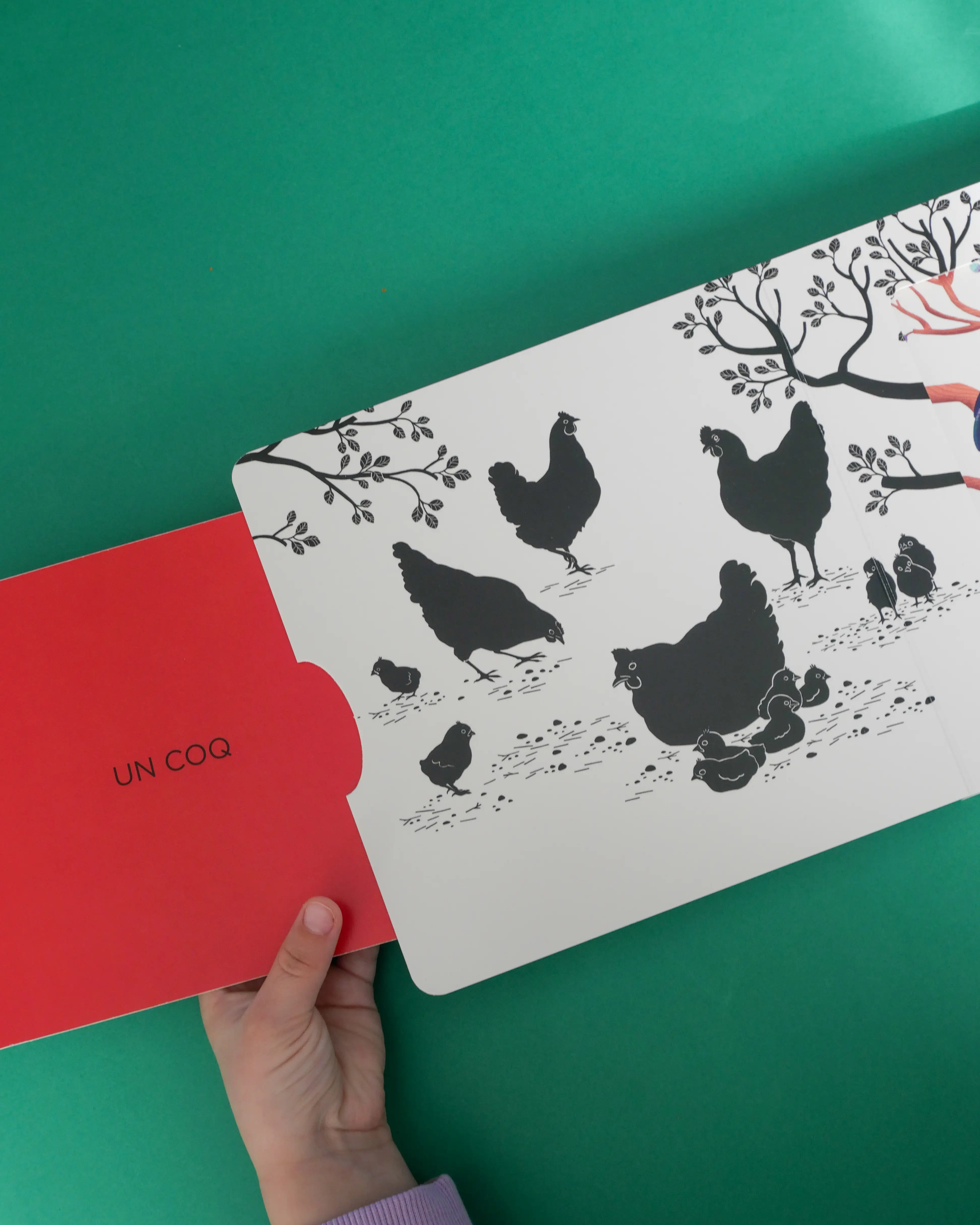 Les belles couleurs - La ferme - un imagier original et interactif à découvrir dès 6 mois - Livre d'éveil - 9782095042899 - Pages intérieures