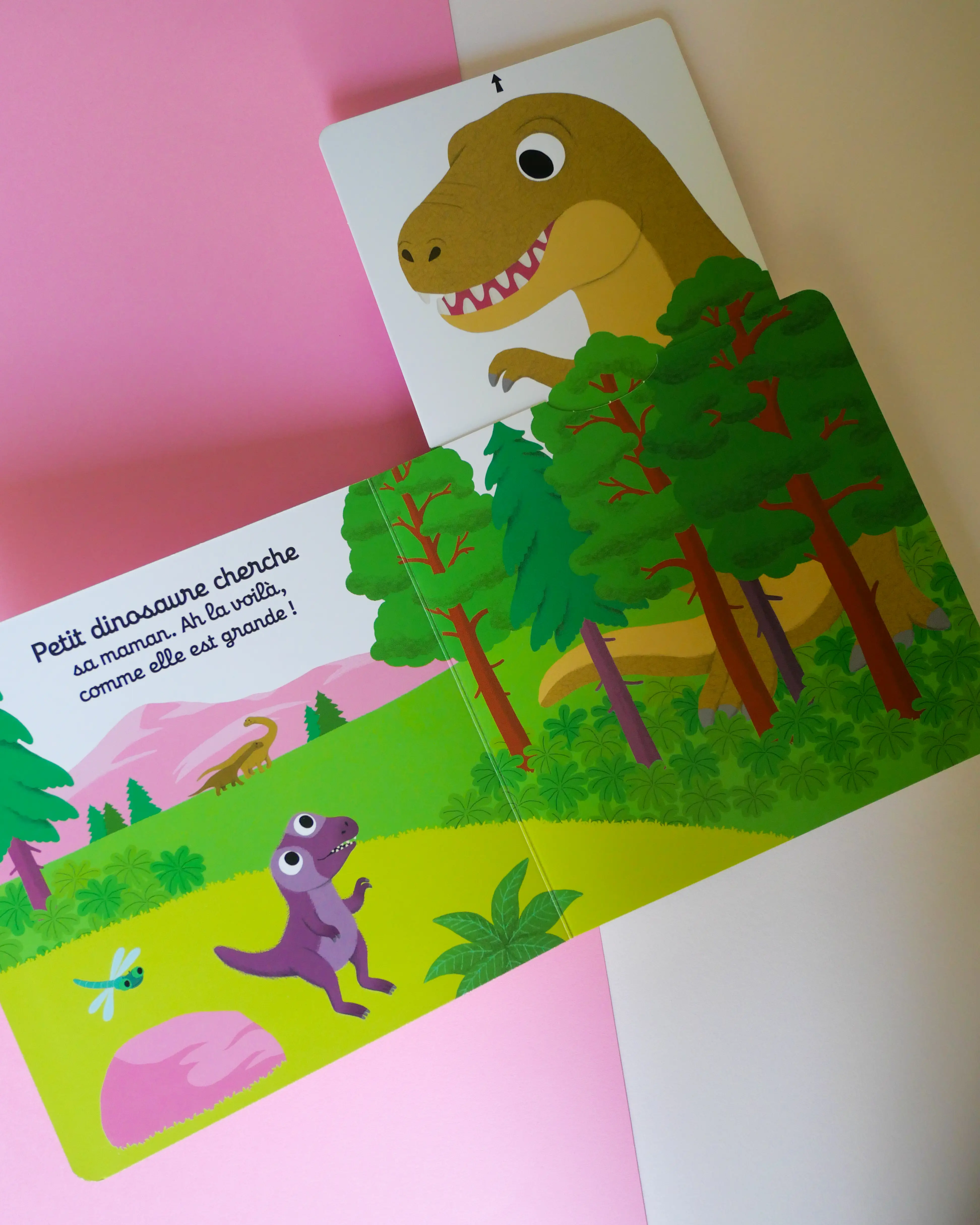 Tu es fort petit dinosaure ! - Découvre la vie de bébé dino avec des animations solides - dès 1 an - Livre documentaire - 9782095045524 - Pages intérieures