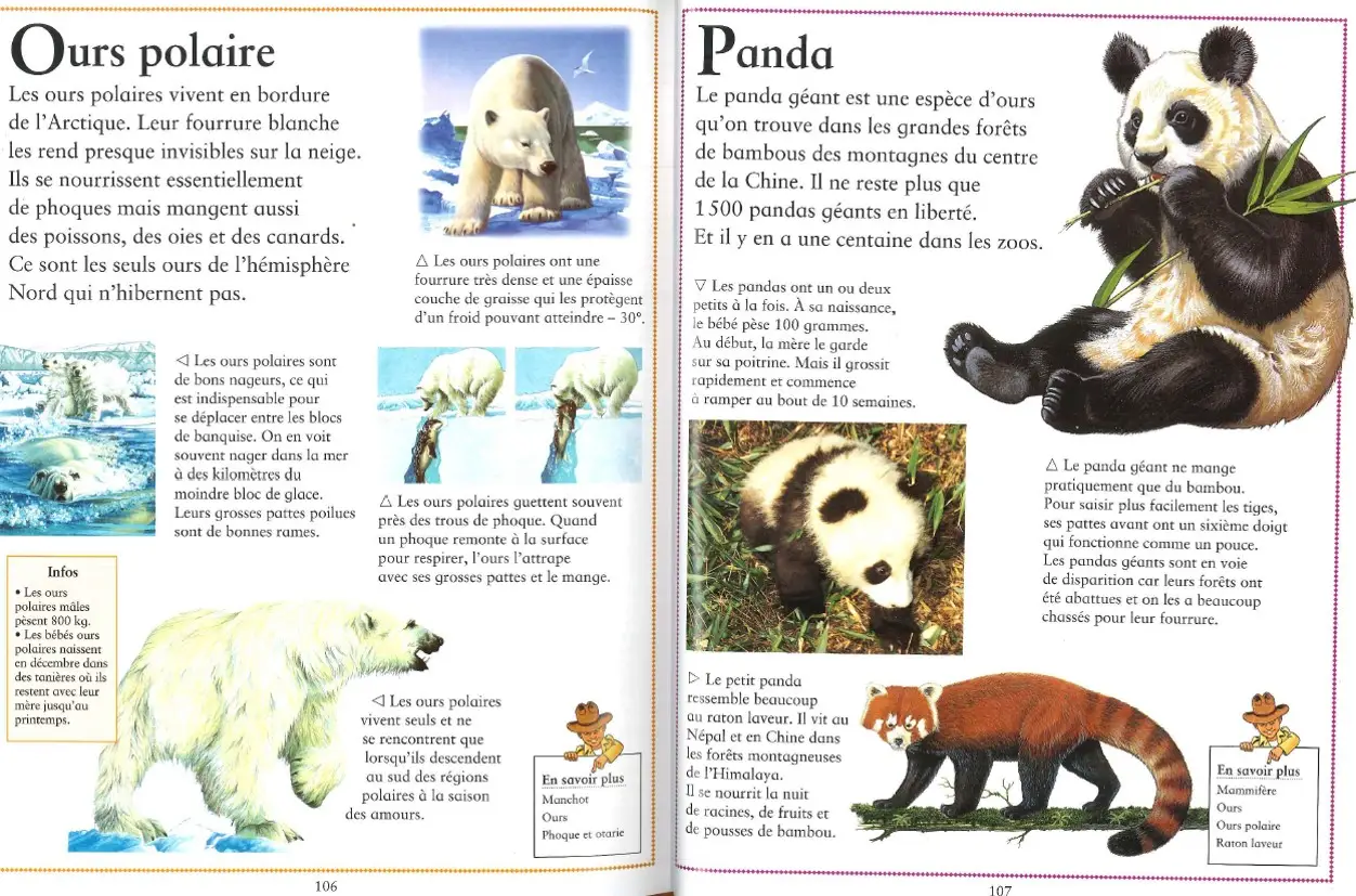 Tout sur les animaux - Dès 6 ans - Livre documentaire - 9782261405077 - pages intérieures