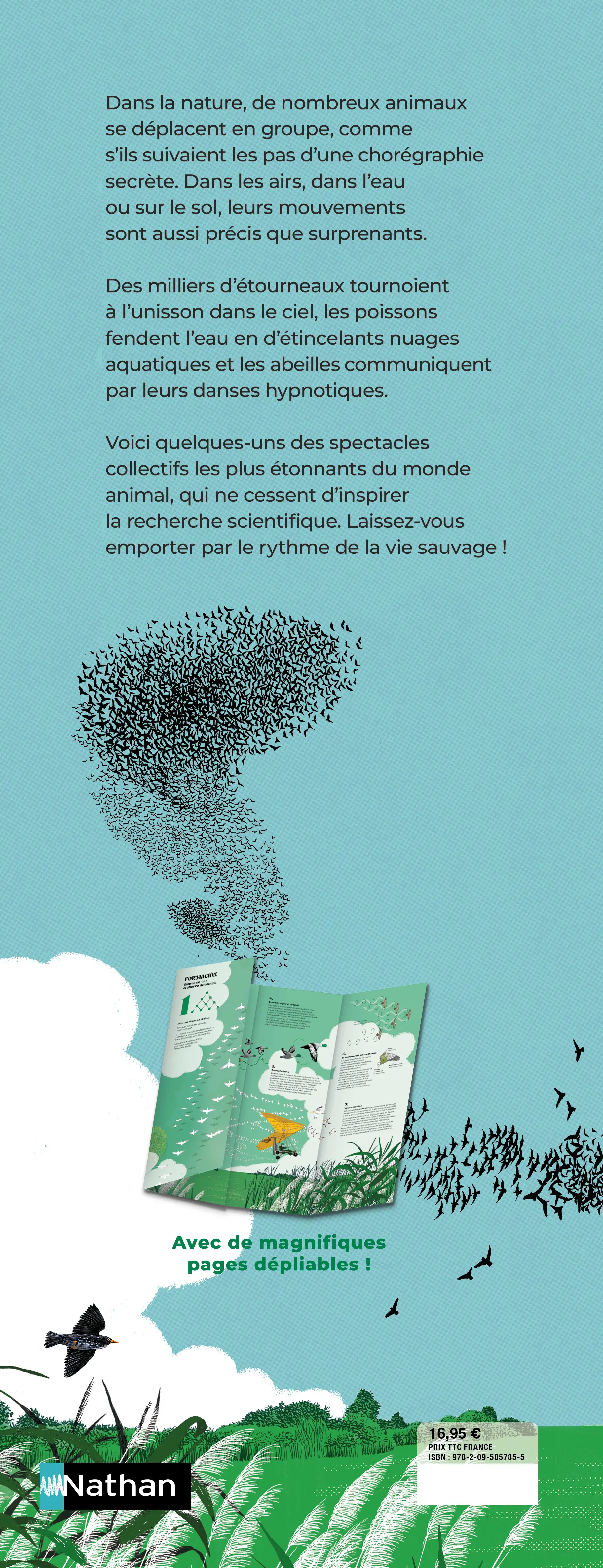 Chorégraphies animales - Pour découvrir les migrations et les ballets les plus spectaculaires de la nature - Dès 7 ans et beaucoup plus - Livre documentaire - 9782095057855 - Pages intérieures Back