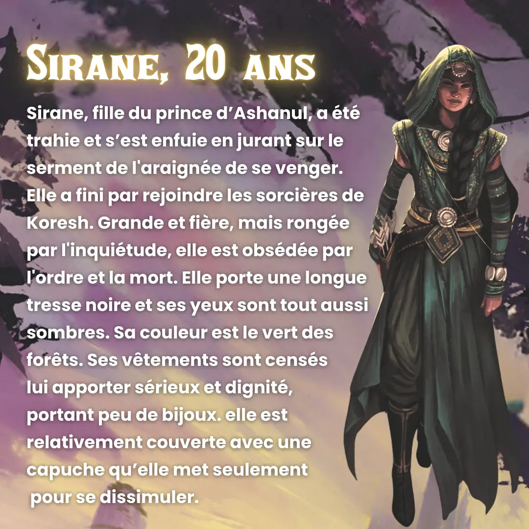 Légendes des mondes d'Aria - Tome 1 : Le serment des runes - Roman fantasy dans l'univers du jeu - Roman - 9782095036614 - Perso_03
