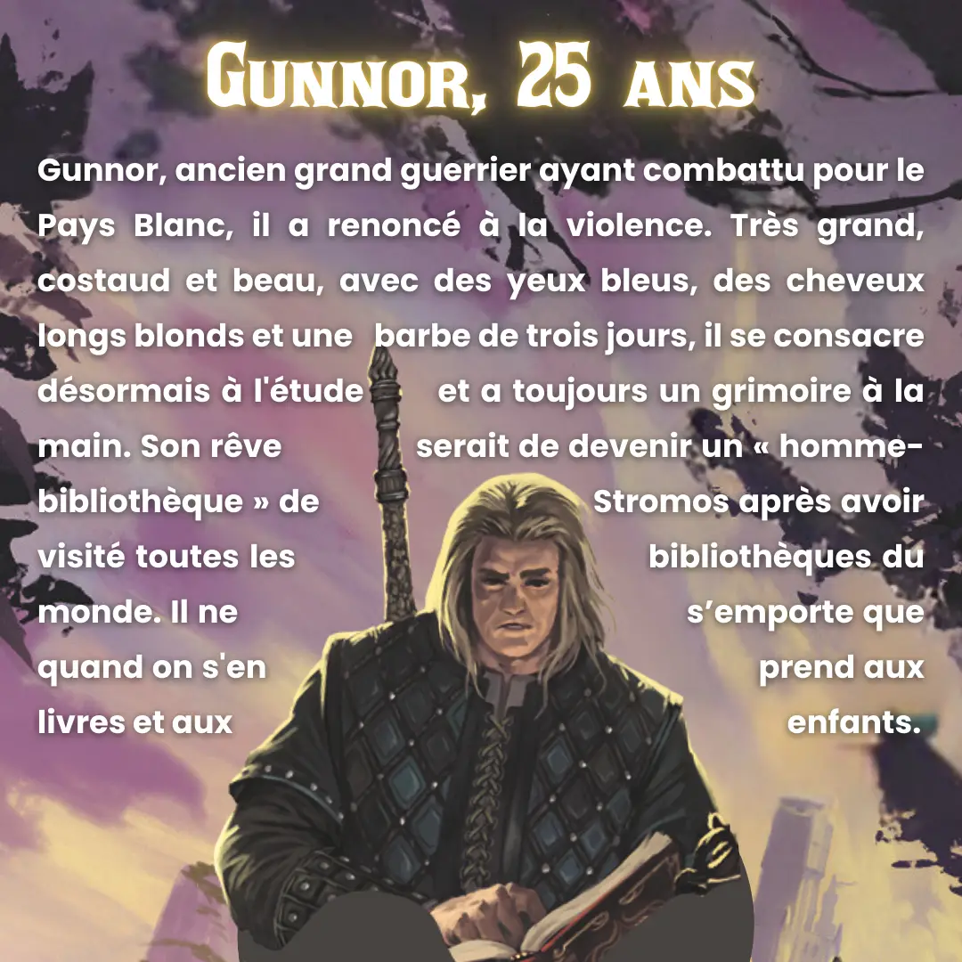 Légendes des mondes d'Aria - Tome 1 : Le serment des runes - Roman fantasy dans l'univers du jeu - Roman - 9782095036614 - Perso_04