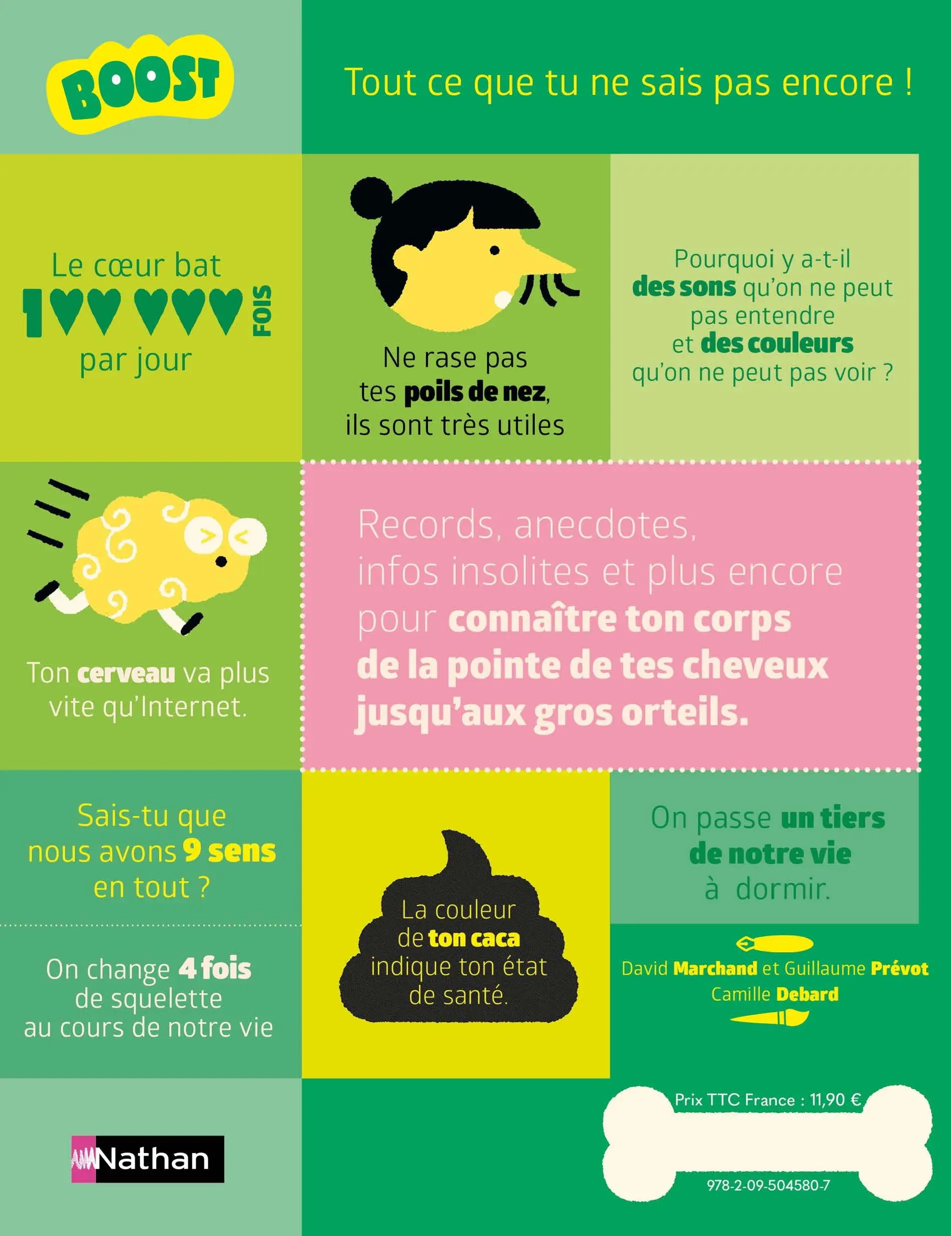 Le corps humain - Plus de 200 informations à découvrir de la pointe des cheveux jusqu'au bout des orteils ! - dès 7 ans - Livre documentaire - 9782095045807 - Plat 4