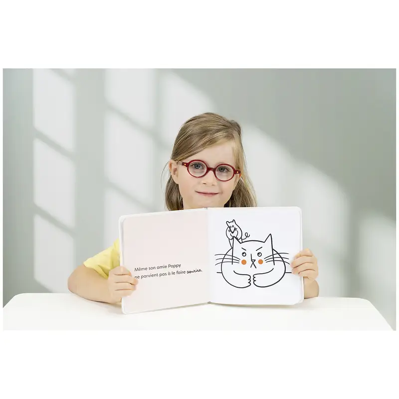 Voltaire et la mauvaise humeur - Album  - Albums - 9782095049621 - 