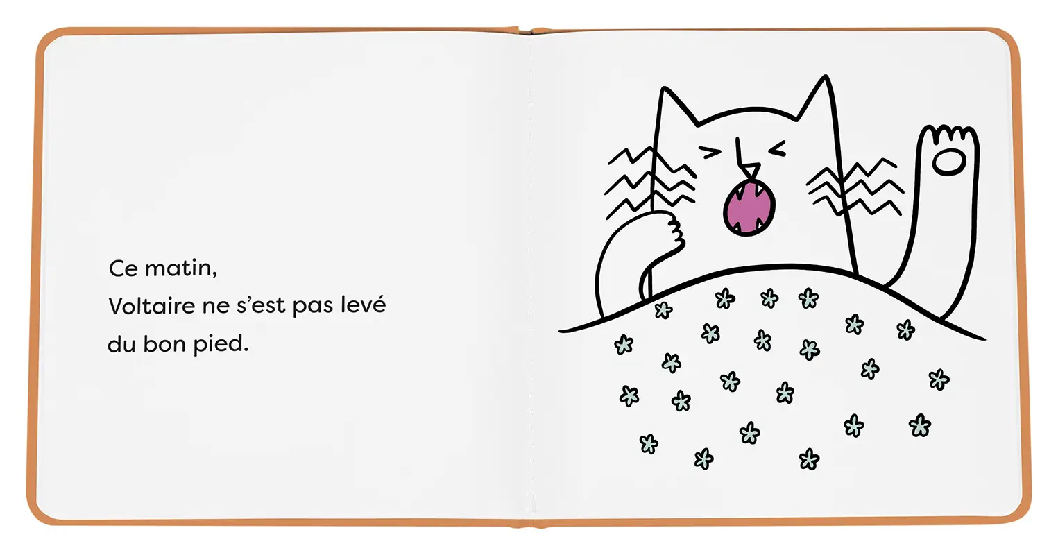 Voltaire et la mauvaise humeur - Album  - Album(s) - 9782095049621 - 