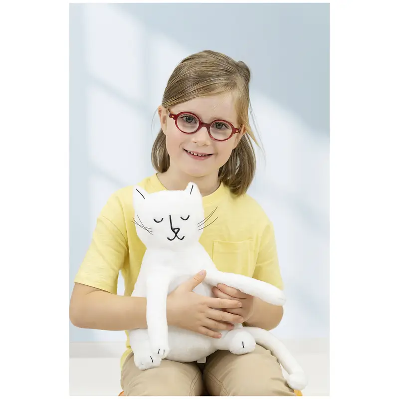 Voltaire et Poppy - Matériel collectif - 3133099131564 - 